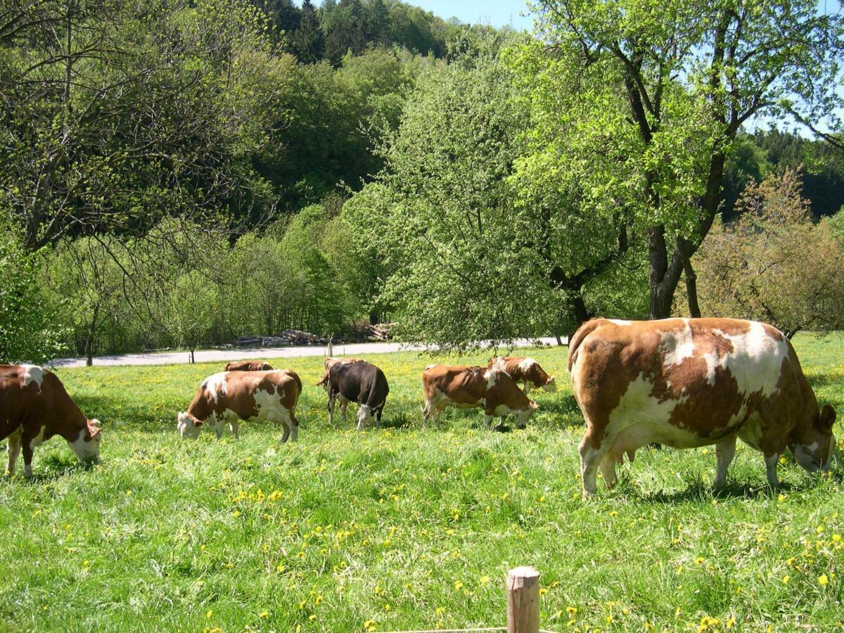 Gemuetliche Wohung Im Gruenen Michelbach ภายนอก รูปภาพ