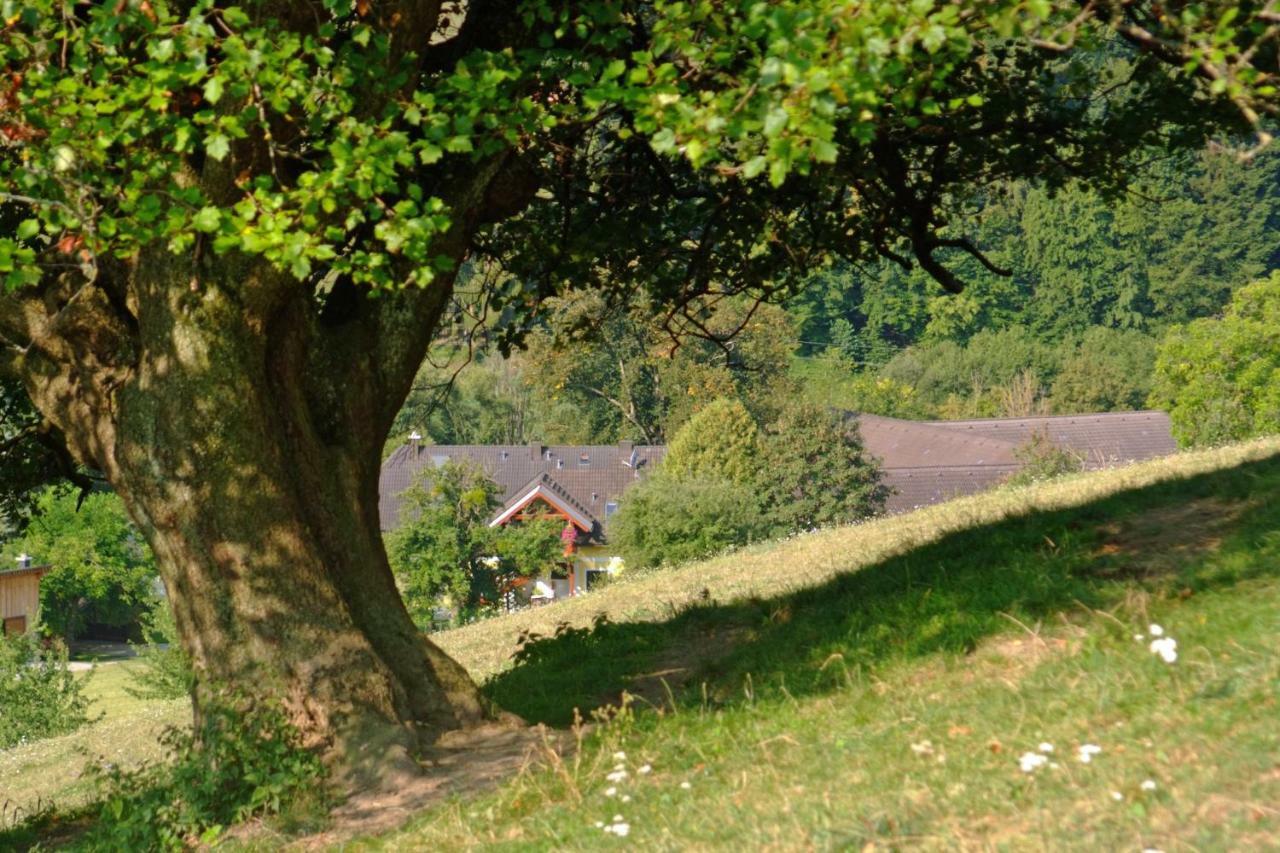 Gemuetliche Wohung Im Gruenen Michelbach ภายนอก รูปภาพ